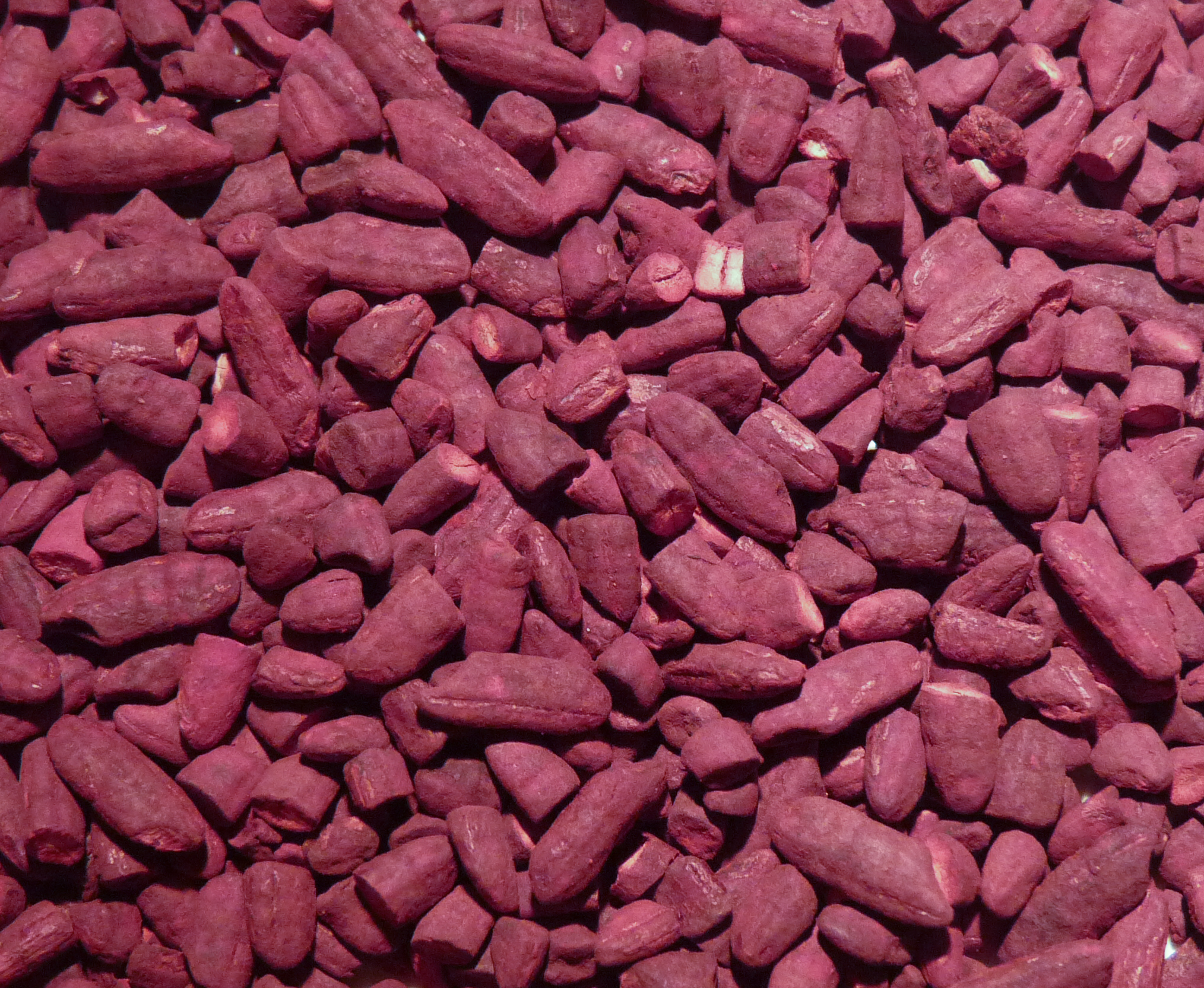 red yeast rice
