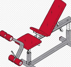 an exercise bench
